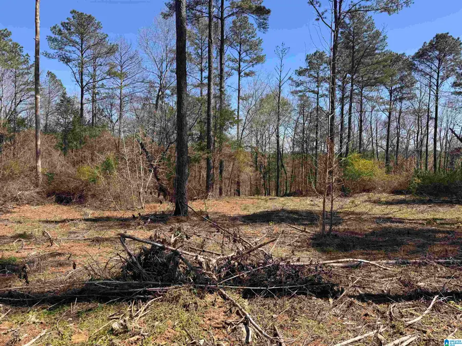 00 FINNELL ROAD, Northport, AL 35475 - #3