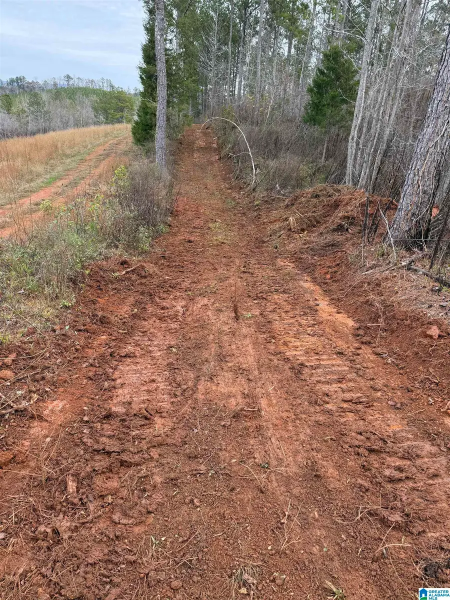 1234 WATTS ROAD, Munford, AL 36268 - #2