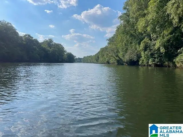 COUNTY ROAD 140, Wadley, AL 36276 - #1