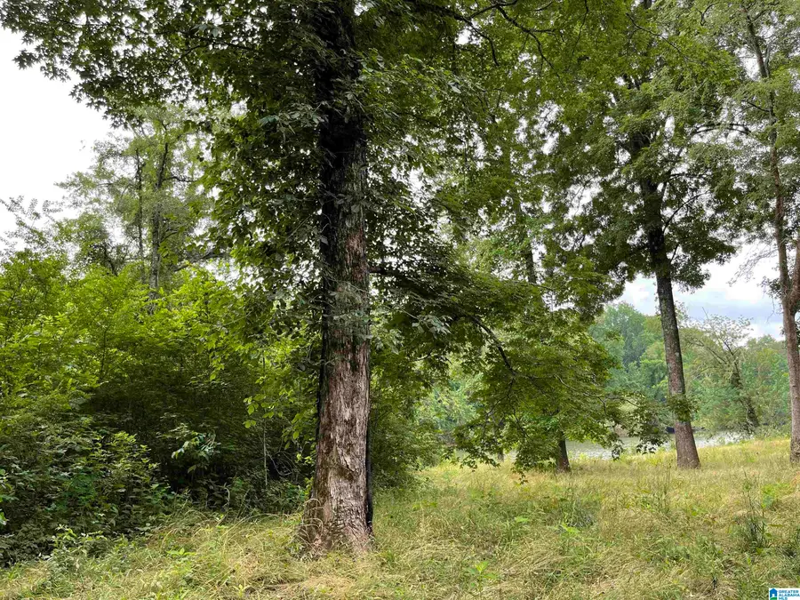 COUNTY ROAD 140, Wadley, AL 36276 - #3