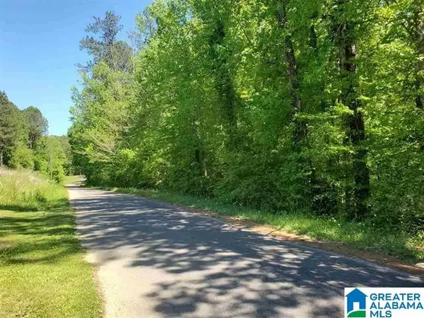4360 JIM TATE ROAD, Dora, AL 35062