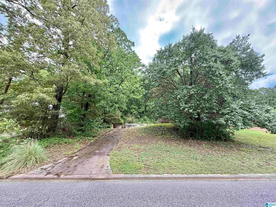 1046 INDEPENDENCE COURT, Alabaster, AL 35007 - #2