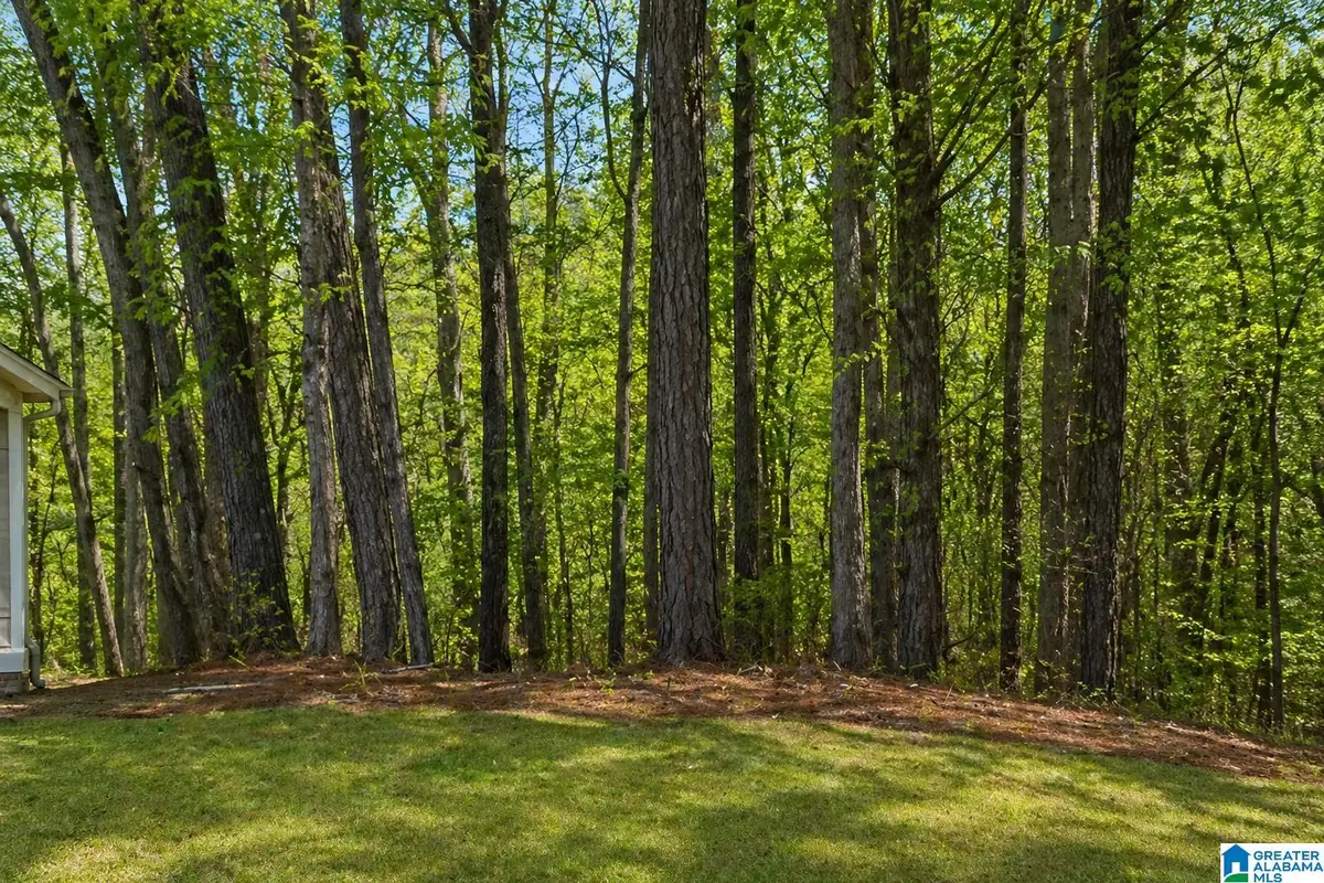 1029 LONG BRANCH PARKWAY, Calera, AL 35040 - #1
