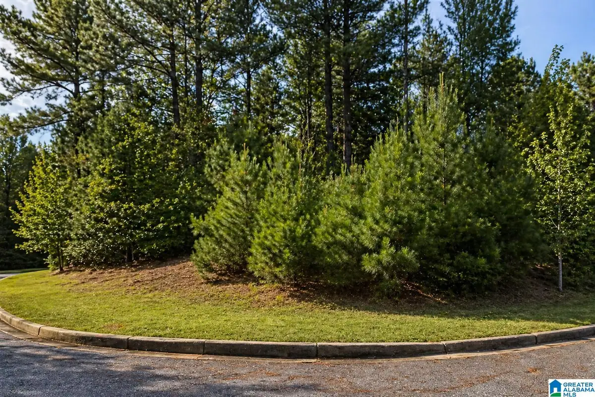 1002 LAKEVIEW LANE, Calera, AL 35040 - #1