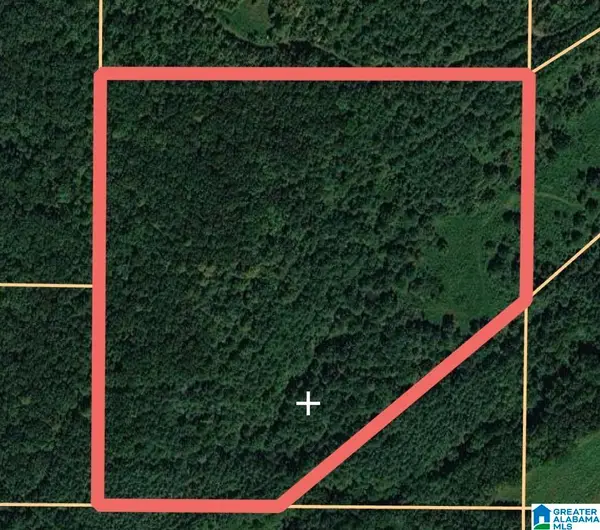 0 JONES CHAPEL ROAD, Springville, AL 35146