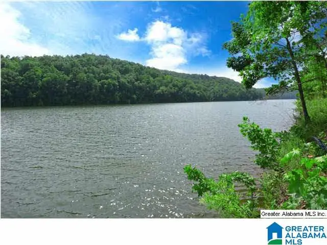 1 & 2 LAKE RIDGE LANE, Wedowee, AL 36278 - #3