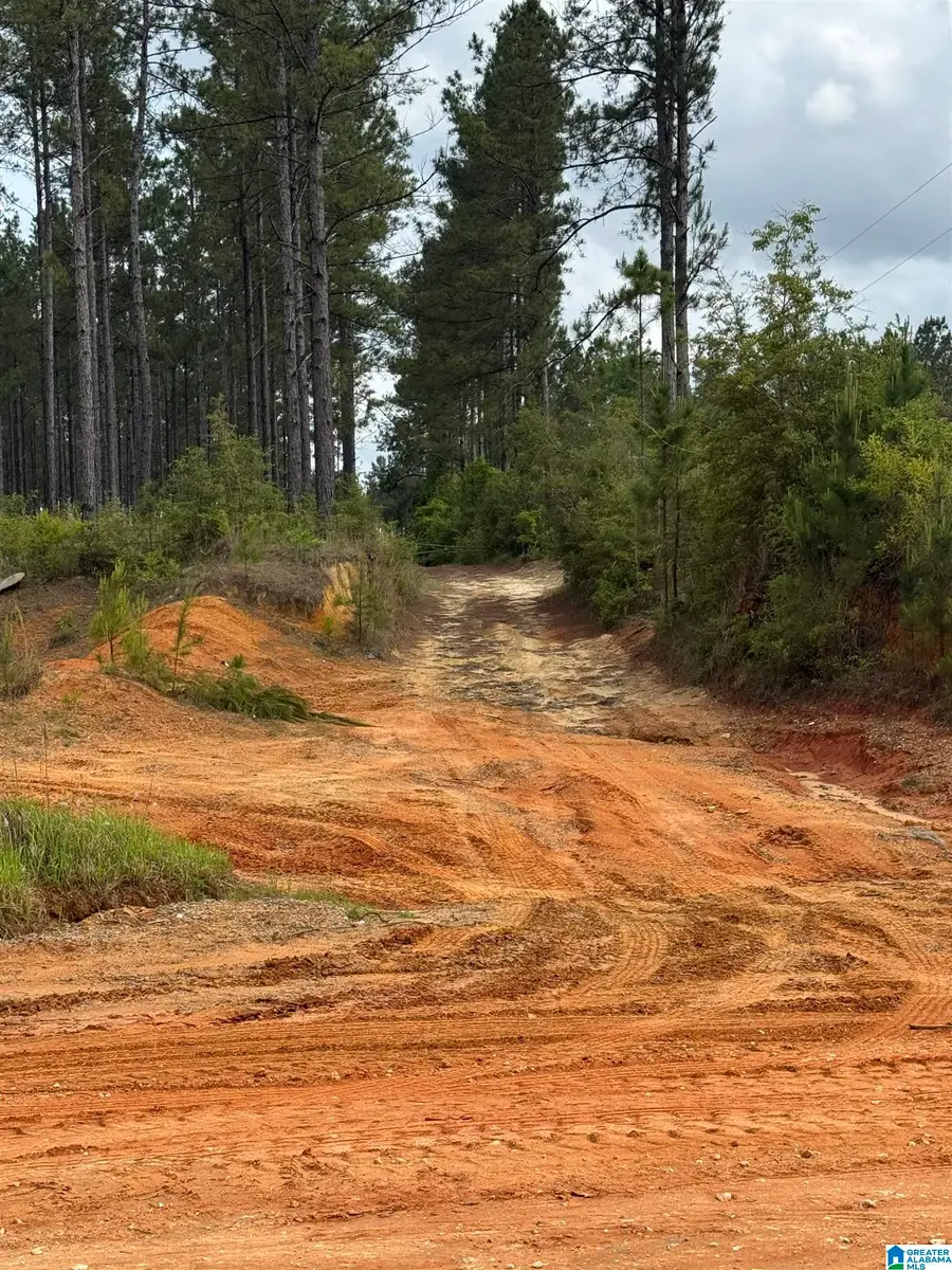 00 TRUCK ROUTE 17, Loxley, AL 36551 - #2