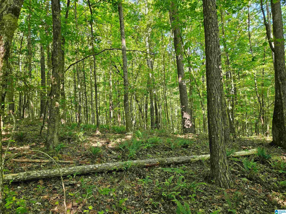 0 MARDIS LANE, Springville, AL 35146 - #1
