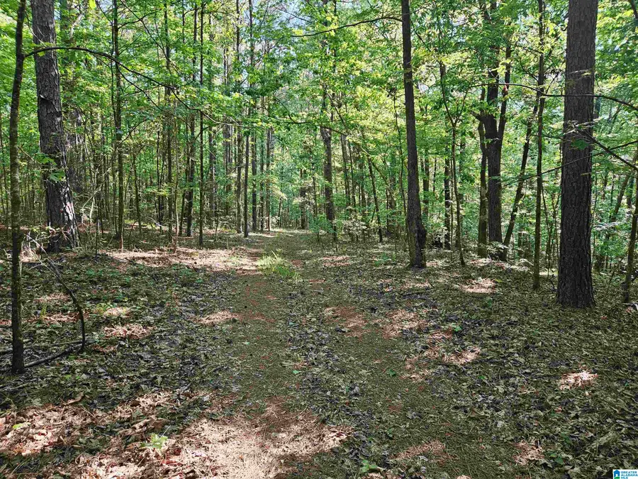 0 MARDIS LANE, Springville, AL 35146 - #3