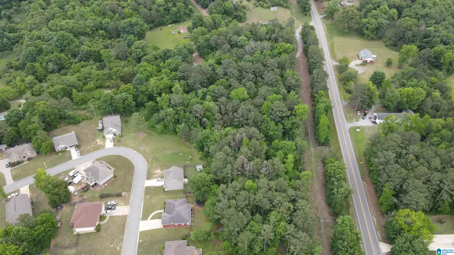 0 HIGHWAY 78, Lincoln, AL 35096 - #3