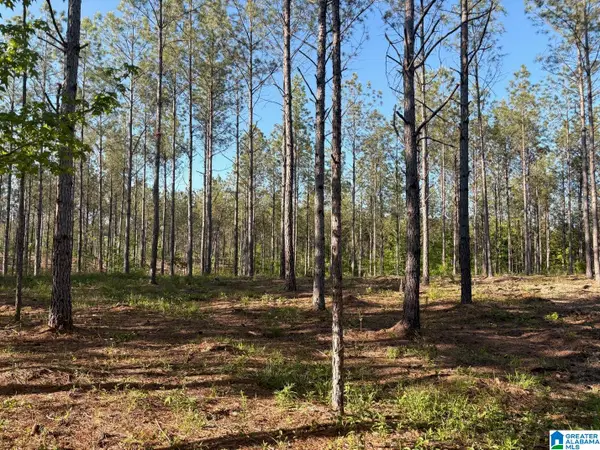 165 QUEEN DRIVE, Columbiana, AL 35051