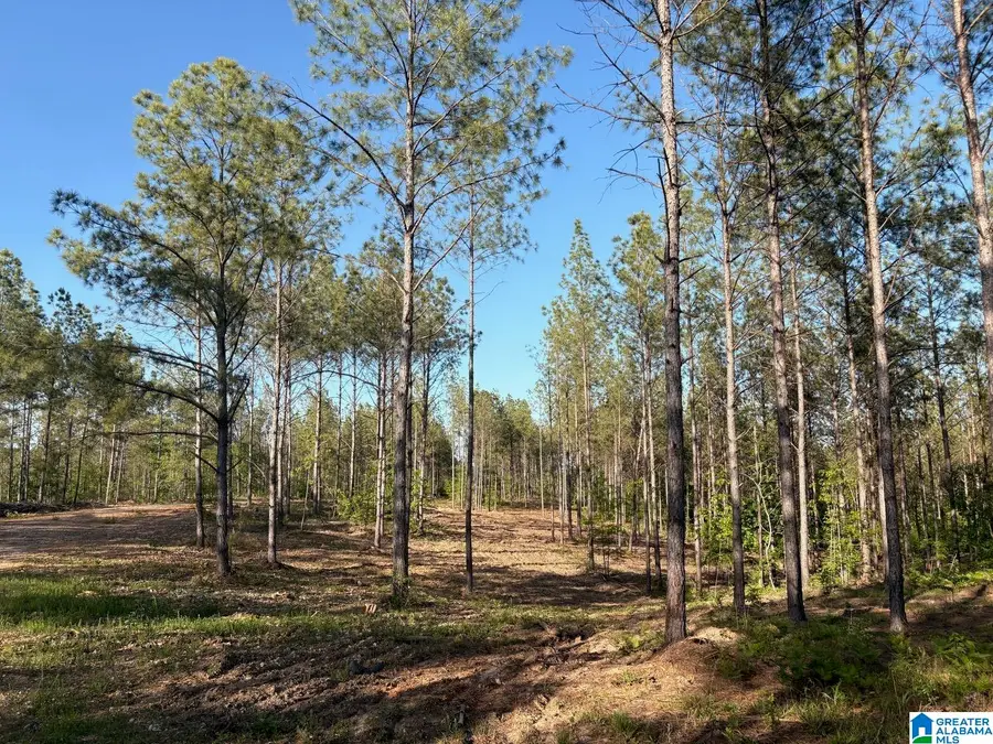 165 QUEEN DRIVE, Columbiana, AL 35051 - #3