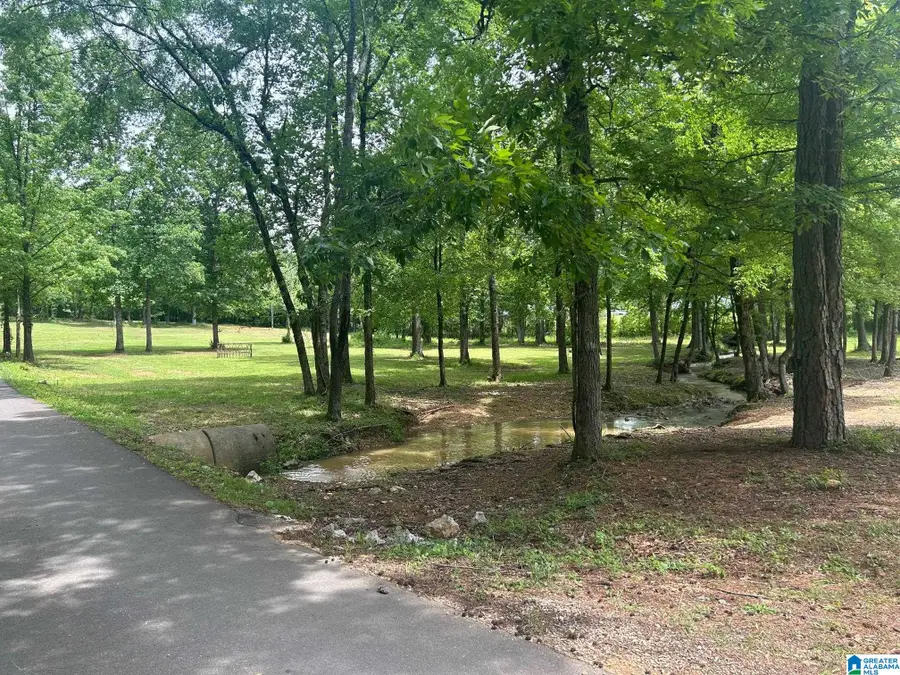 6961 LOWETOWN ROAD, McCalla, AL 35111 - #2