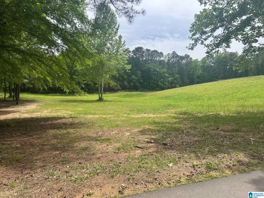 6961 LOWETOWN ROAD, McCalla, AL 35111 - #3