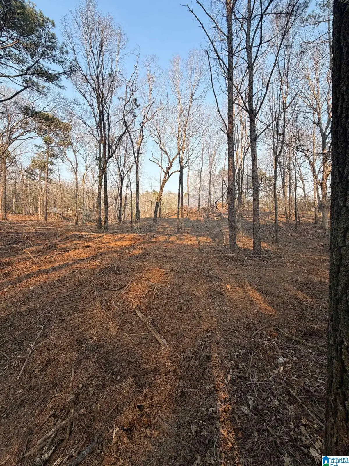 1895 EUREKA ROAD, Lincoln, AL 35096 - #1