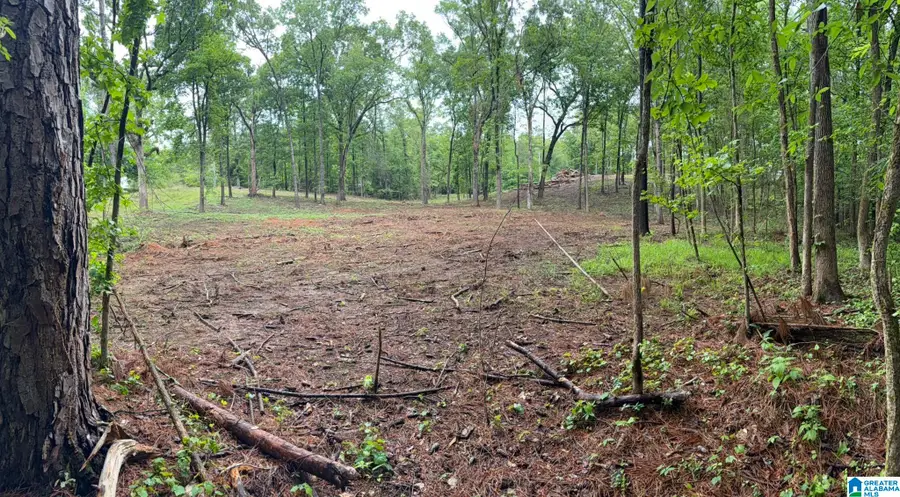 1895 EUREKA ROAD, Lincoln, AL 35096 - #2