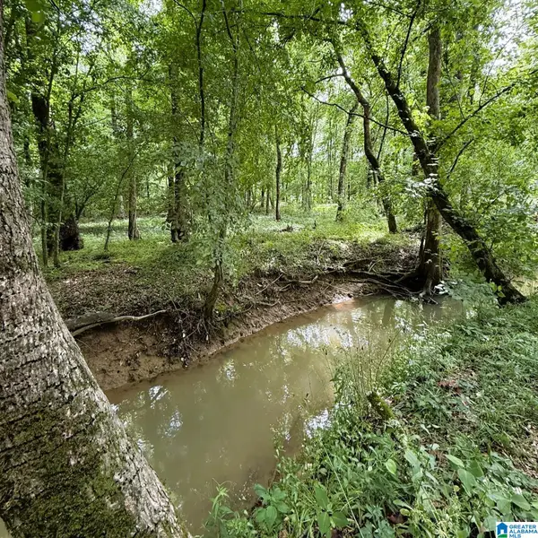0 POPLAR TRAIL, Warrior, AL 35180