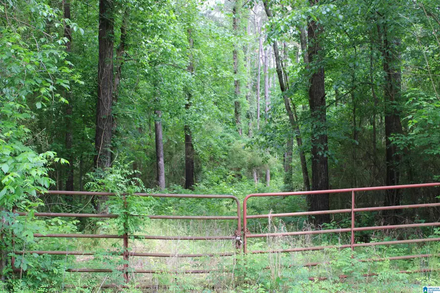 0 WOOTEN ROAD, Alabaster, AL 35007 - #3