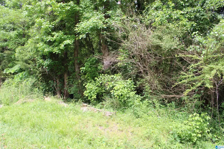 0 WOOTEN ROAD, Alabaster, AL 35007 - #2
