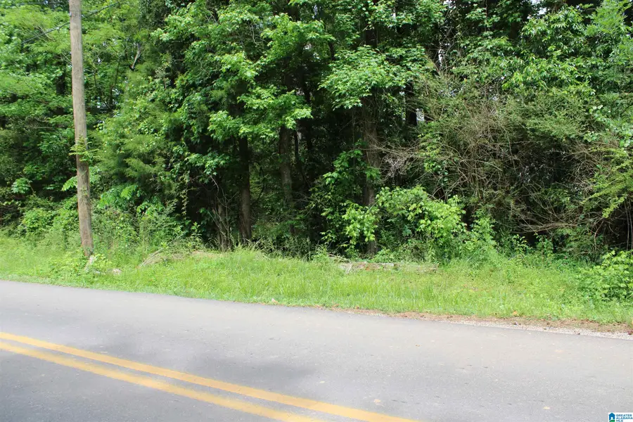 0 WOOTEN ROAD, Alabaster, AL 35007 - #3