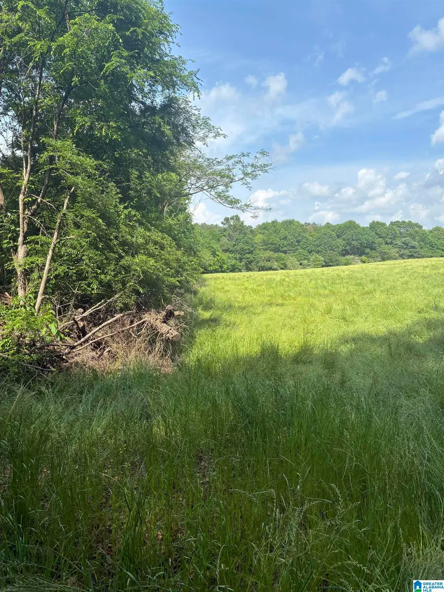 0 HIGHWAY 79, Blountsville, AL 35031 - #3