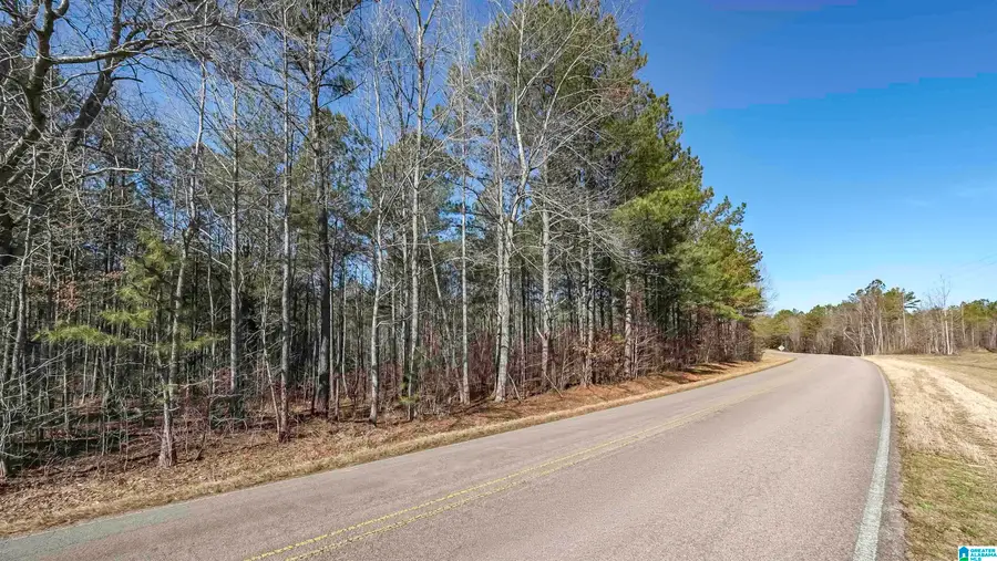 0 COUNTY ROAD 49, Fruithurst, AL 36262 - #2