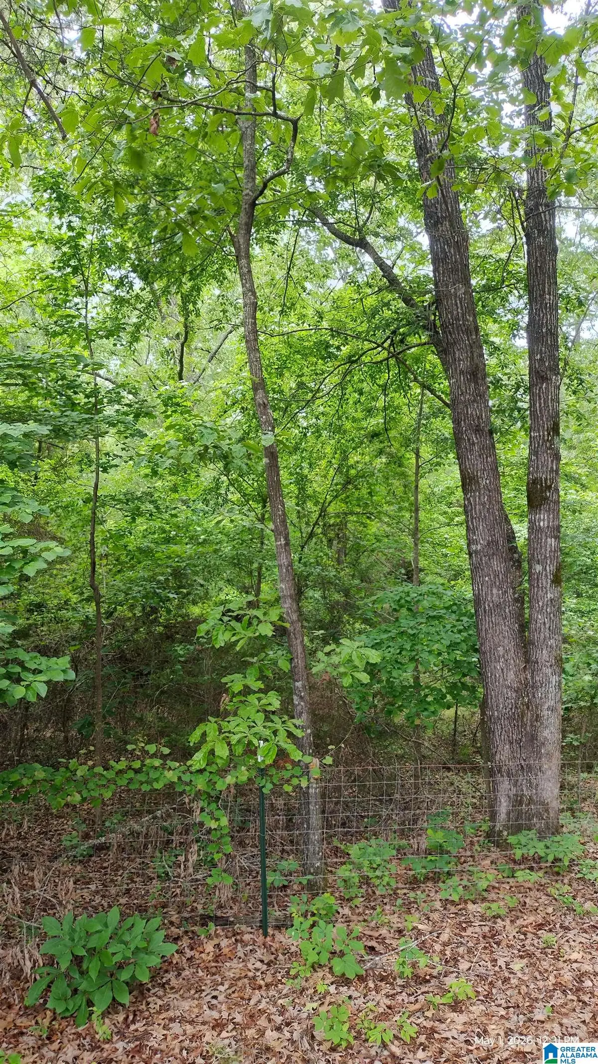 350 PARADISE ACRES, West Blocton, AL 35184 - #1
