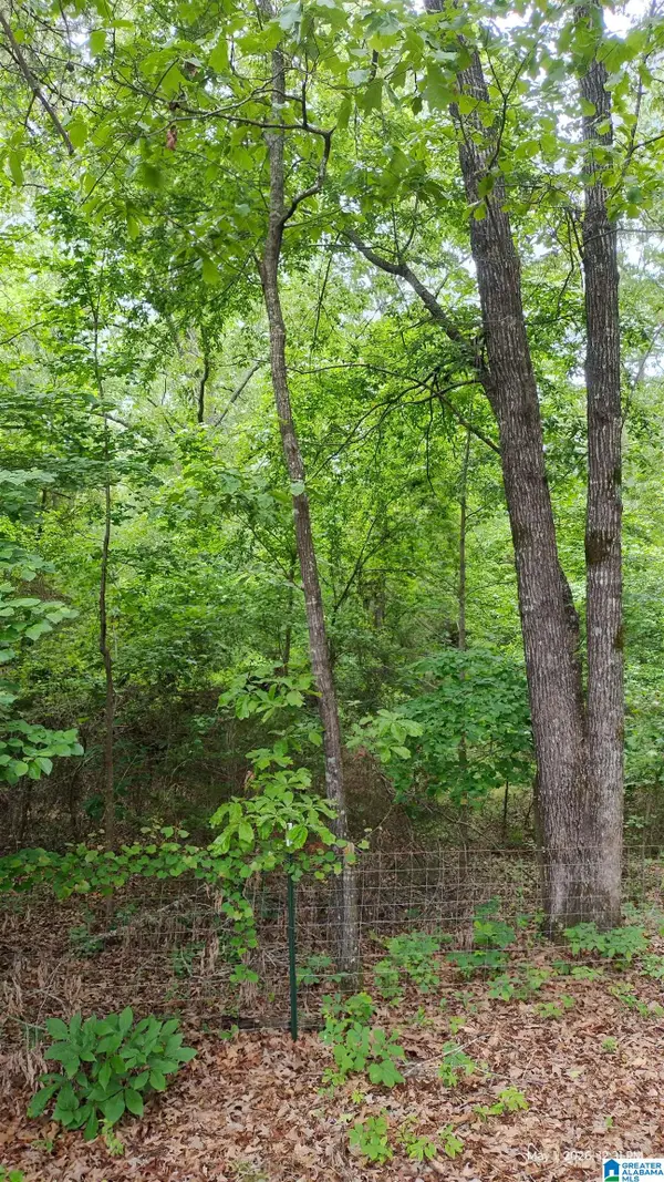 350 PARADISE ACRES, West blocton, AL 35184