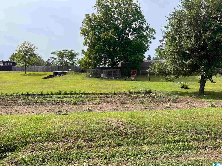 13890 HANNAH CREEK CUTOFF ROAD, Brookwood, AL 35444 - #3