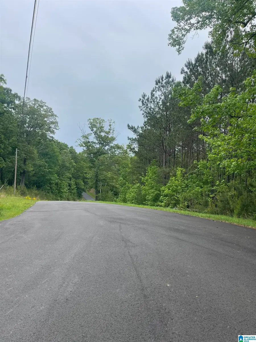 65 DOGWOOD DRIVE, Chelsea, AL 35043 - #2