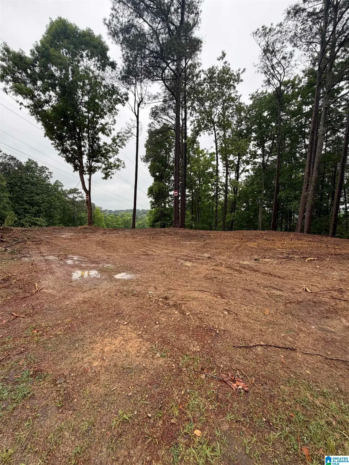 5130 CORNELL DRIVE, Irondale, AL 35210 - #1