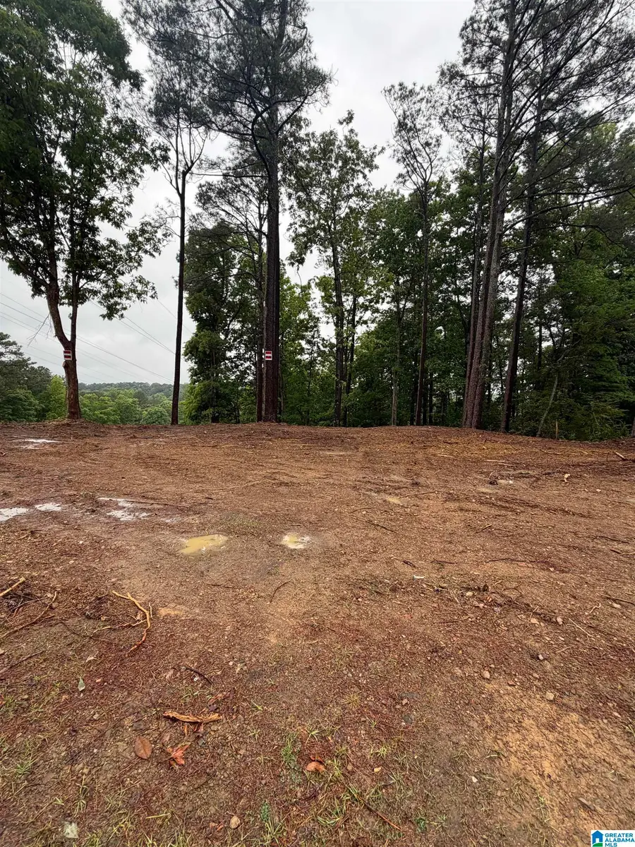 5130 CORNELL DRIVE, Irondale, AL 35210 - #2