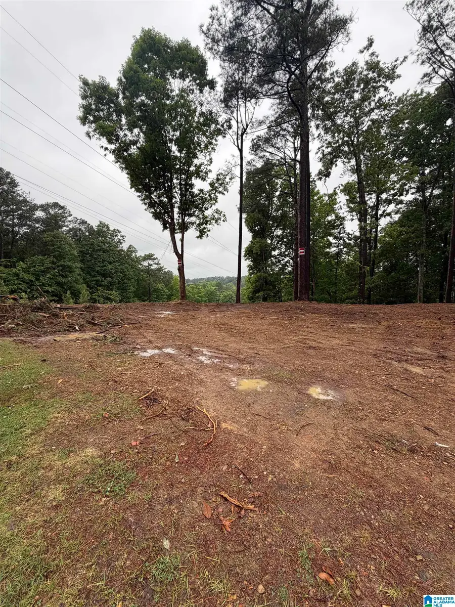 5130 CORNELL DRIVE, Irondale, AL 35210 - #3