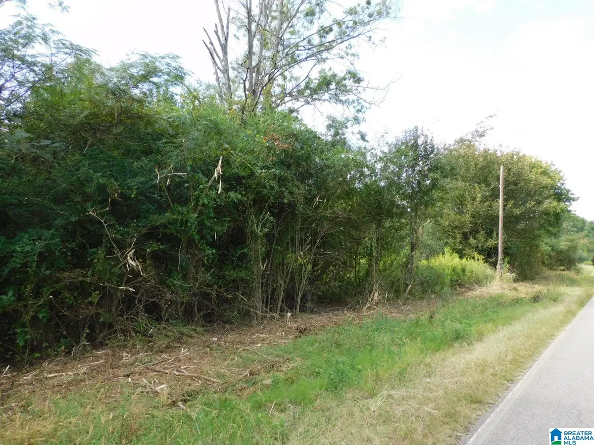 1389-1409 CRESWELL ROAD, Harpersville, AL 35078 - #1