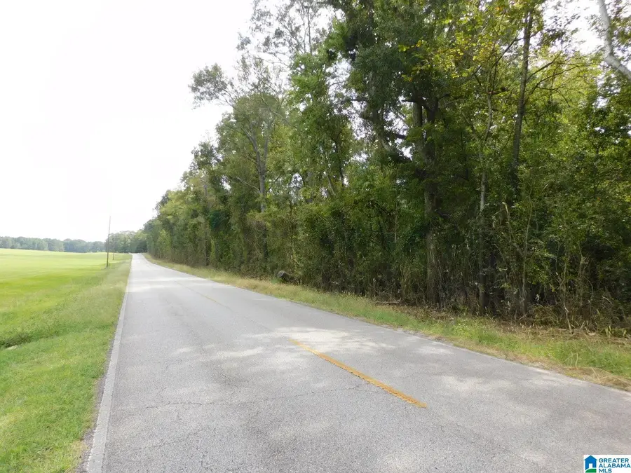 1389-1409 CRESWELL ROAD, Harpersville, AL 35078 - #3