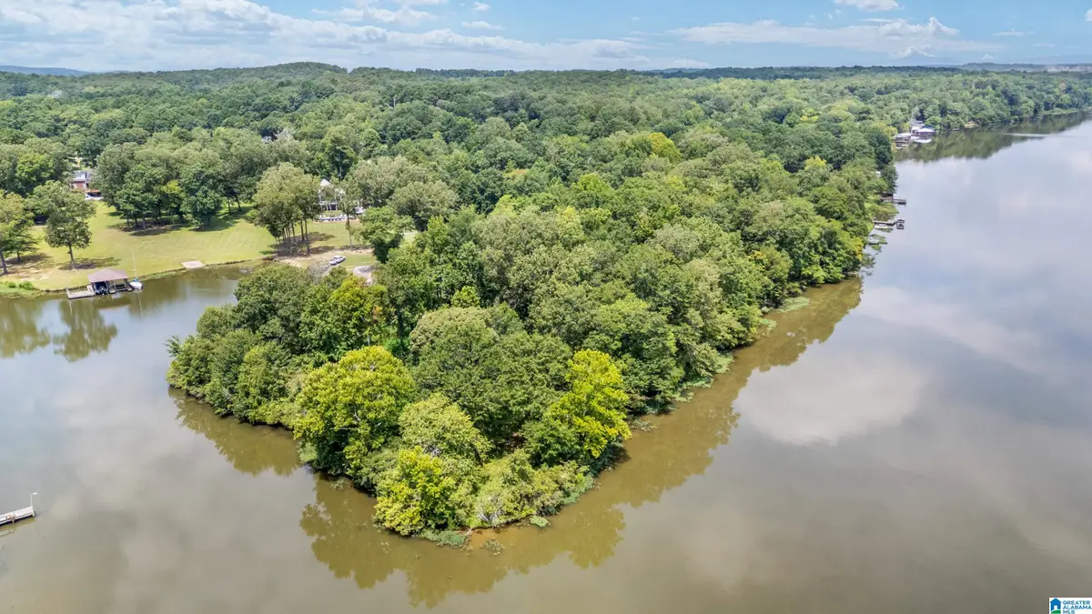 Lot 7B HEBB ROAD, Wilsonville, AL 35186 - #1