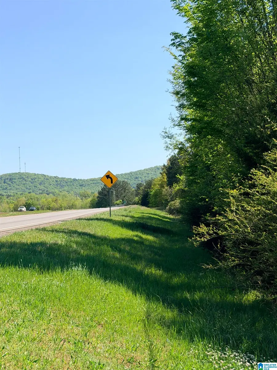 0 HIGHWAY 77, Talladega, AL 35160 - #3