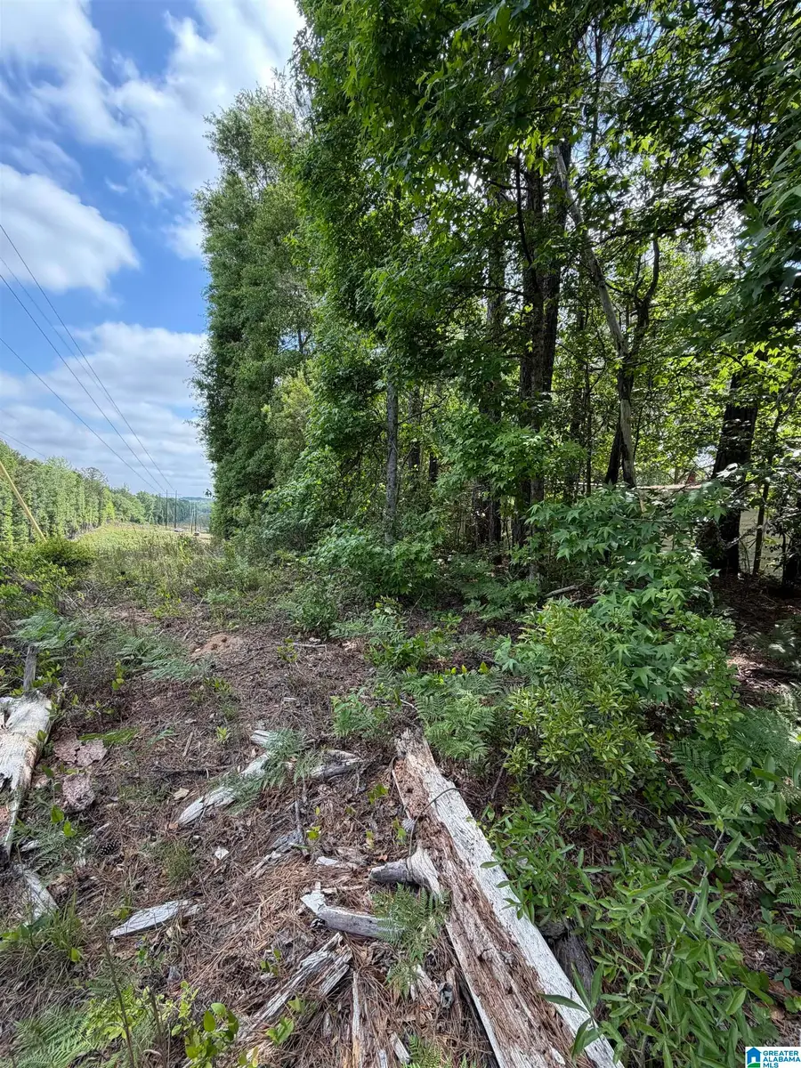 1755 COUNTY ROAD 19, Prattville, AL 36067 - #2