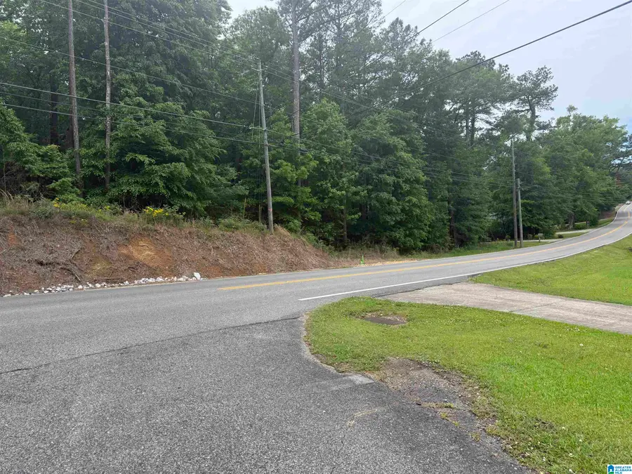 903 MORRIS MAJESTIC ROAD, Morris, AL 35116 - #3