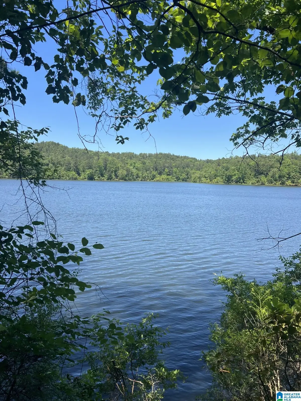 Lots 2 and 3 EAGLE MOUNTAIN ROAD, Rockford, AL 35136 - #1