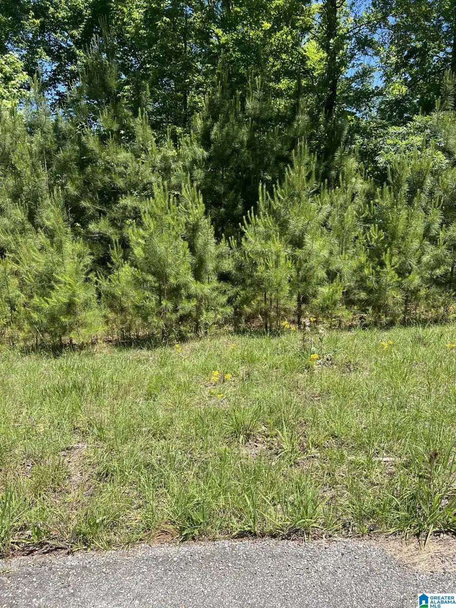 Lots 2 and 3 EAGLE MOUNTAIN ROAD, Rockford, AL 35136 - #2