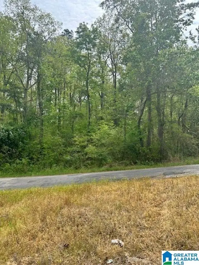 Lot 11 COUNTY ROAD 3902, Arley, AL 35541 - #1