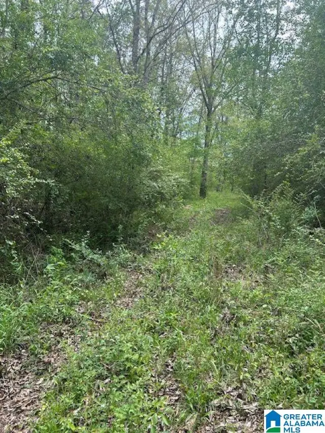Lot 11 COUNTY ROAD 3902, Arley, AL 35541 - #2