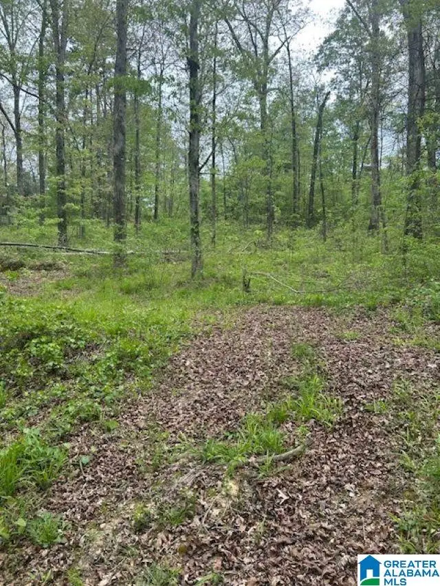Lot 11 COUNTY ROAD 3902, Arley, AL 35541 - #3