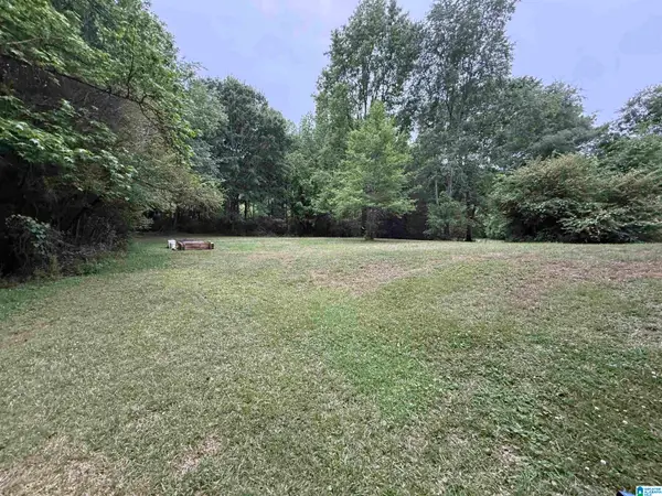 3409 VALLEY STREET, Guntersville, AL 35976