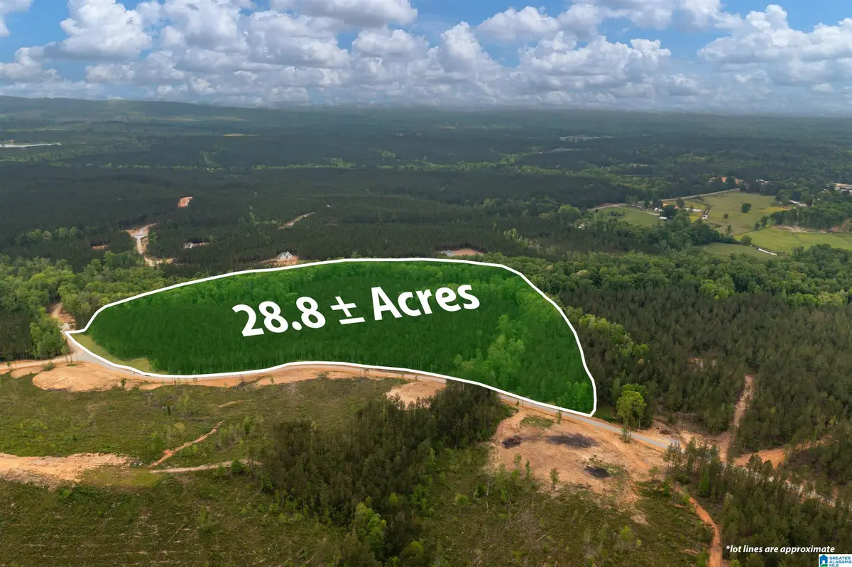 Track 17 HERITAGE PINES WAY, Columbiana, AL 35040 - #1