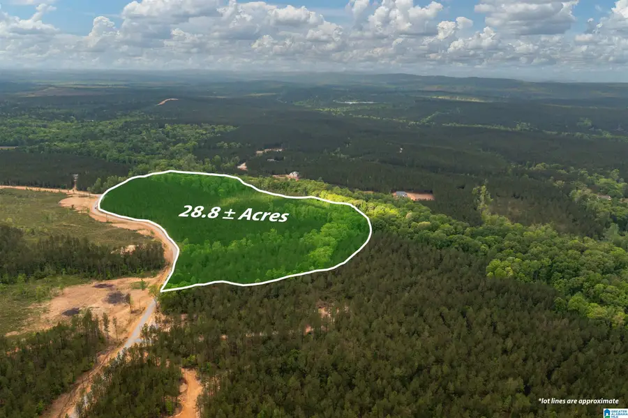 Track 17 HERITAGE PINES WAY, Columbiana, AL 35040 - #3