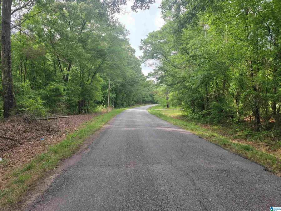 2+/ Acres COUNTY ROAD 75, Roanoke, AL 36274 - #3
