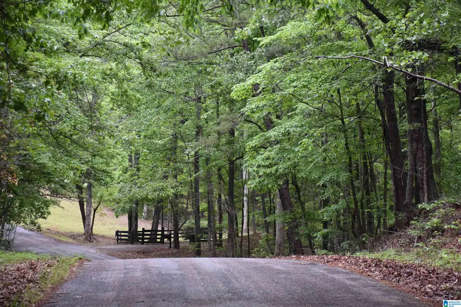 1915 COOSA COUNTY ROAD 19, Rockford, AL 35136 - #2