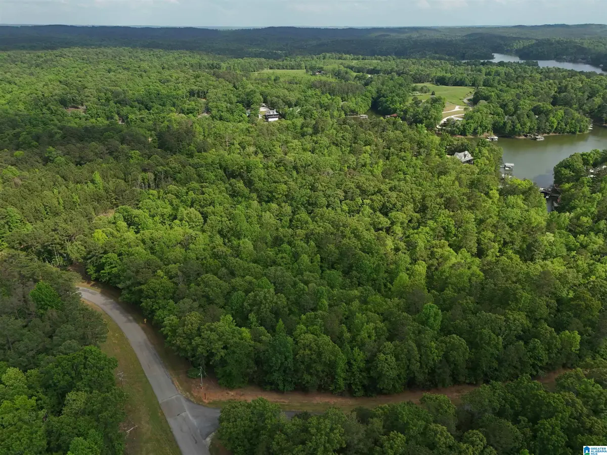 lots 125 RED CEDAR DRIVE, Wedowee, AL 36278 - #1